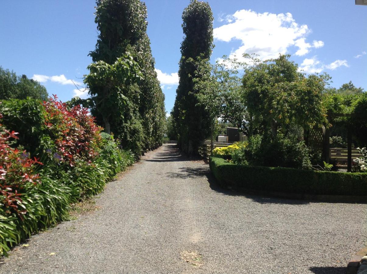 Aratahi Cottages Carterton エクステリア 写真